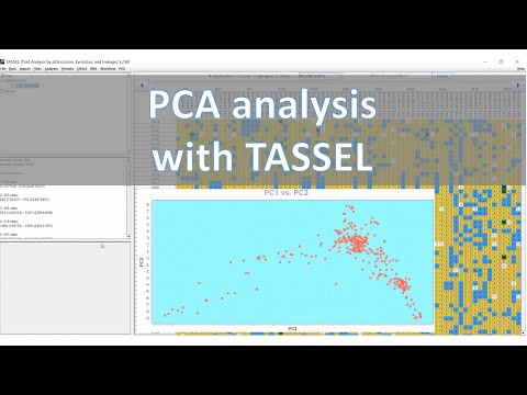 PCA analysis with TASSEL