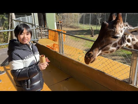 レオくんがおでかけしてみた！しろとり動物園！ Part59 レオスマイル