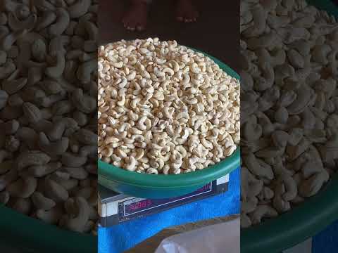 Tanzanian Cashew Nut