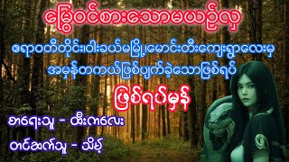 မြွေဝင်စားသောမယဥ်လှ ဖြစ်ရပ်မှန်အသံဇာတ်လမ်း