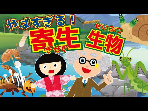 【ようかい博士】やばすぎる！寄生生物！ 座敷童と一緒に寄生虫を調査するよ！　知育アニメ　夏休み　冬虫夏草・ロイコクロリディウム・ハリガネムシ等カタツムリ・カマキリ