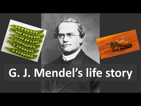 The life of Mendel