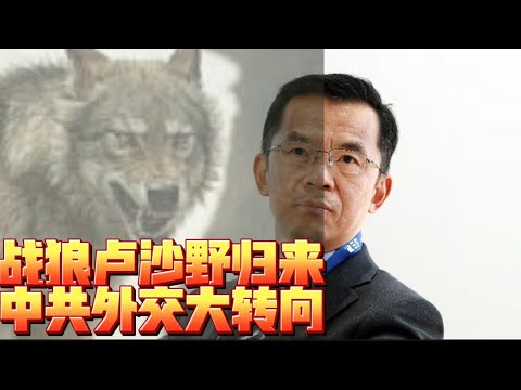 战狼卢沙野归来 中共外交大转向  Wolf Warrior Lu Shaye Returns: A Major Shift in China’s Diplomacy