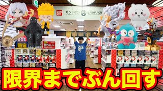 【ガシャポン】地域最大級の大型店へ突撃！限界まで回し続けた結果が幸せすぎた（ガチャガチャ、ガチャポン、BANDAI）