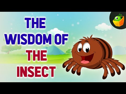 Insect Stories | Animal Stories with Moral Lessons | Top10 English Bedtime Stories for Curious Kids