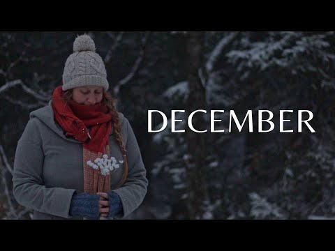 How Our Year Ended | Forest Christmas | # 27