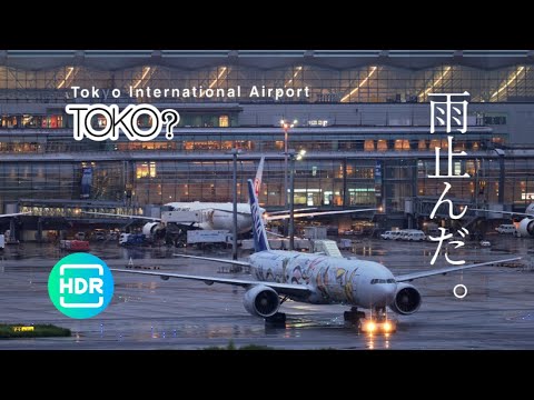 4K HDR 雨上がりの東京羽田空港 Tokyo Haneda Airport after Rain