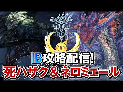 IBストーリー攻略配信! VS死ハザク＆ネロミェール【MHWIB】【縦型】