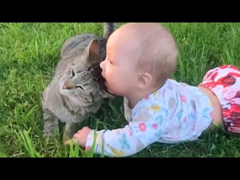 Cats and Babies Being Ridiculously Adorable!❤️🐱