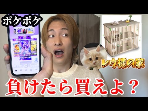 愛猫レウ様の新居をどうしてもマネージャーに買わせたいダイキ様の挑戦