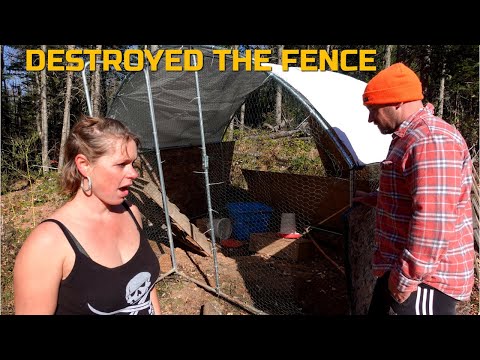 TRESPASSER RIPPED DOWN Our Fence At Night, KILLED Them All - PRIVATE PROPERTY!