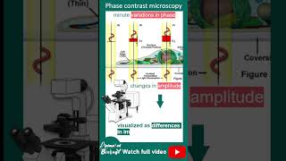 Phase contrast microscopy explained in 1 minute