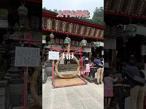 太平山神社　天下泰平にした神社⛩️#太平山神社#あじさい坂#栃木市