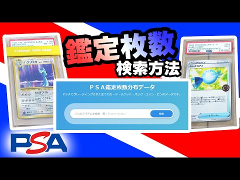 【ポケモンカード】鑑定枚数検索方法を紹介！　PSAに出されている全てのカードが分かる　【PSA鑑定】