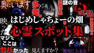 過去6年間の動画から厳選した心霊スポット集【はじめしゃちょーの畑 切り抜き】