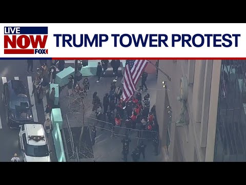 WATCH: Protestors arrested at Trump Tower in New York City