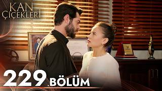 Kan Çiçekleri 229. Bölüm