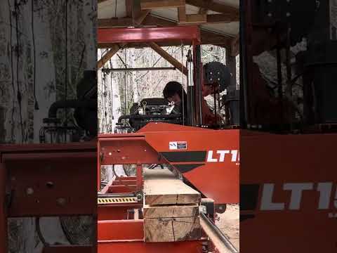 #shortvideo Sawing 4th Board from a Tough Hickory #woodworking