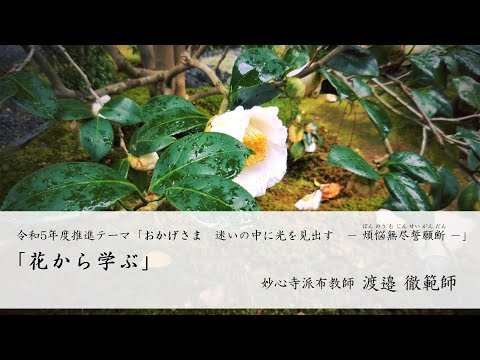 第42回 「花から学ぶ」　渡邉 徹範師