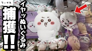 【ちいかわ】さっそくちいかわイヤッぬいぐるみを取ってきた！！【ちいかわクレーンゲーム】