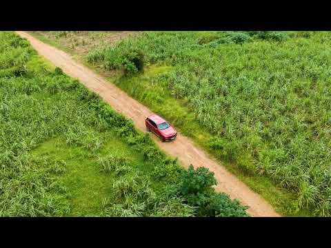 Drone in Beautiful green field |Video-Audio footage HD Free