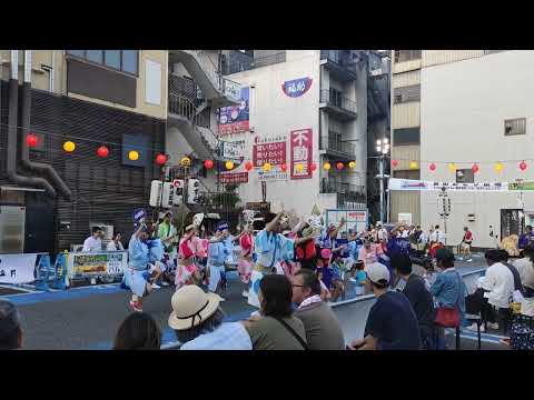 阿波踊り2024開幕 富街踊り広場 阿波藍連