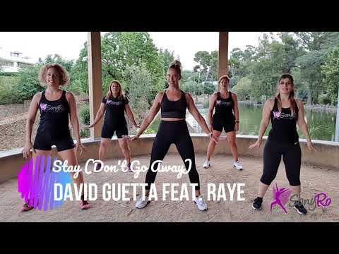 Stay Don't Go Away,  DAVID GUETTA feat RAYE