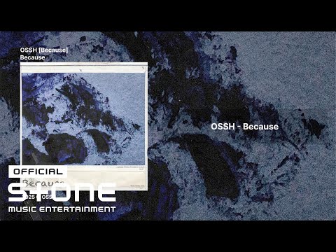 OSSH - Because Lyric Video