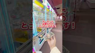 みんなはもう大掃除した？#クレーンゲーム #clawmachine #クレゲ #大掃除