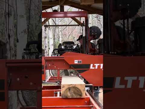 #shortvideo Sawing 7th+8th Boards from a Nice Poplar #woodworking