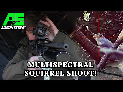 Airgun Extra | Squirrel shooting with DNT Thermnight | FX King airgun review