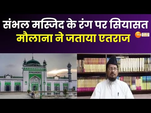 Sambhal : संभल मस्जिद के रंग पर सियासत, मौलाना शहाबुद्दीन ने जताया एतराज | Jama Masjid | Shahabuddin