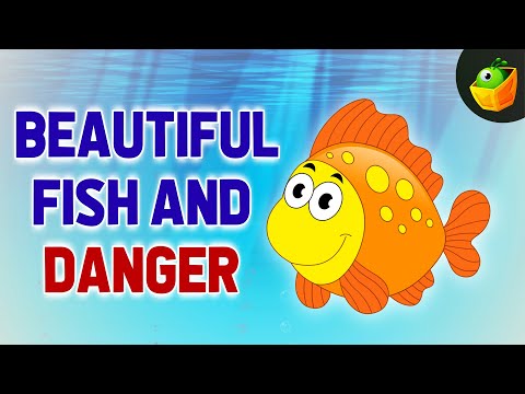 Fish Stories | Tales from the Deep Blue | Fish Friends Story Corner | Sea Tales for Kids |Adventures