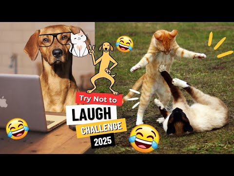 Ultimate Try Not to Laugh Challenge! 😂 Funniest Pets Compilation 2025