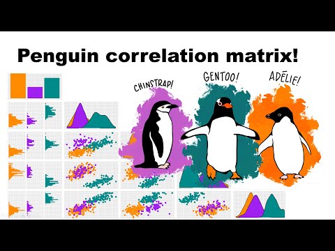 Visual correlation matrix in R