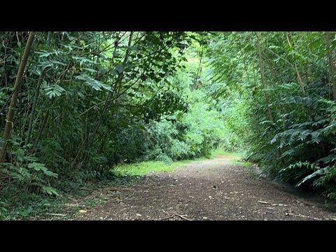 Live from Kionaole Road - Oahu Hawaii