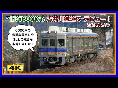 大井川鉄道 元南海6000系 営業運転開始 !!! 2024.12.30【4K】