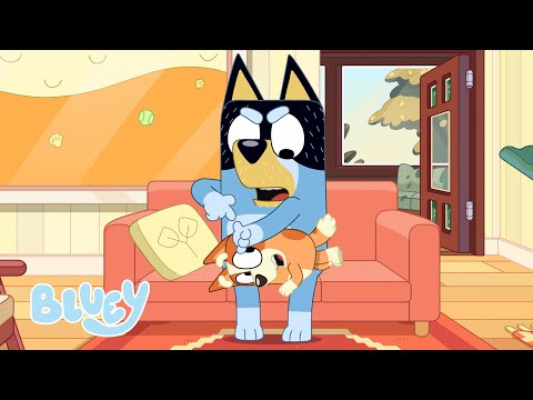 Gobierno | PEQUEÑAS HISTORIAS DE BLUEY | Bluey Español Canal Oficial