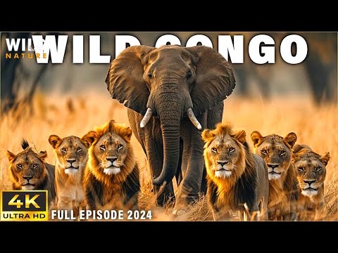 WILD CONGO | The Lair of King Kong and the Deadly Predators | Free Documentary 4K