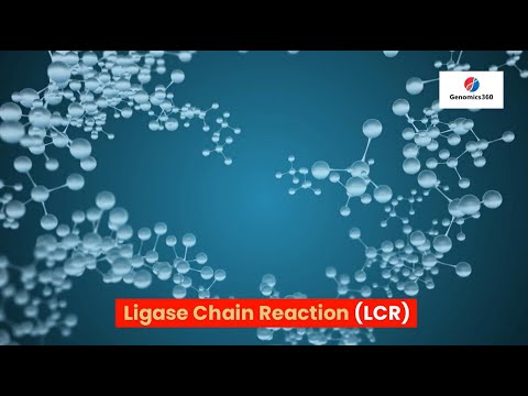 Ligase Chain Reaction (LCR)