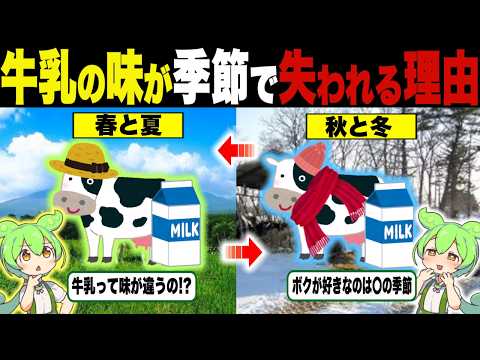 牛乳が季節ごとに味が違うって本当？【ずんだもん＆ゆっくり解説】