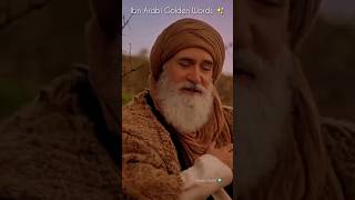 Ibn Arabi Golden Words of Wisdom #islam #ibnul_arbi #ertugrulurdu #ertugrul #shorts #motivation