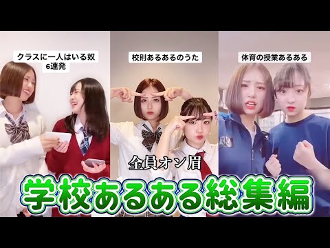 【学校/学生編】あるあるまとめ動画！