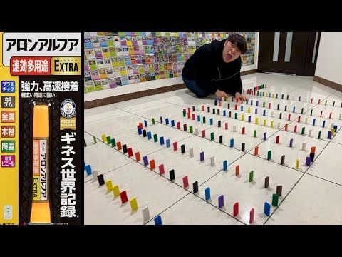 がーどまん夫婦の家で瞬間接着剤塗ったドミノで遊んでみた【ドッキリ】