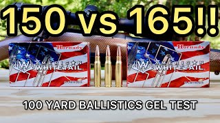 308 Winchester Hornady American Whitetail Ballistics Gel Ammo Test