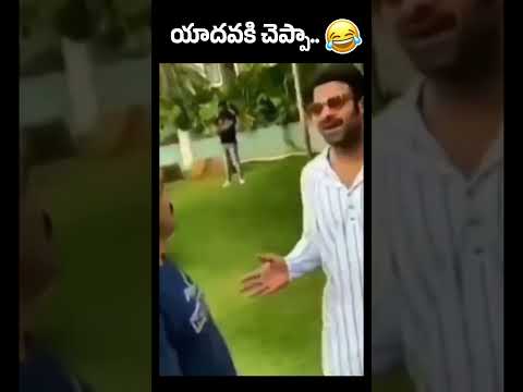 యాదవకి చెప్పా.. 😂😂 #prabhas Mogalturu Slang With Relatives | Prabhas Army