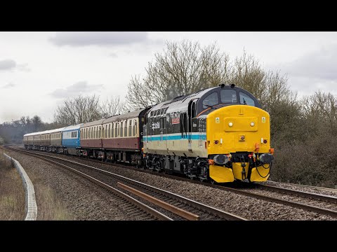 LSL 37401 through Mortimer 11/03/2025