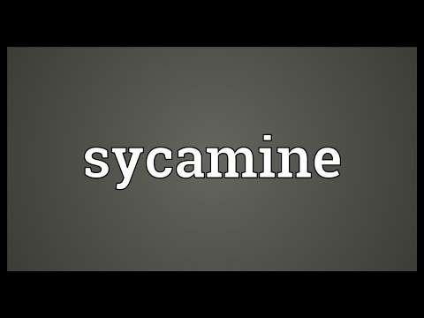 Sycamine Meaning