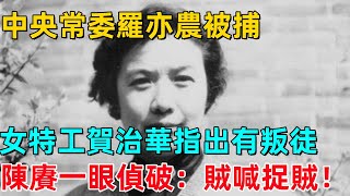 中央常委羅亦農被捕，女特工賀治華指出有叛徒，陳賡一眼偵破：賊喊捉賊！【一刻見聞】#歷史#歷史故事#歷史人物#奇聞#臺灣