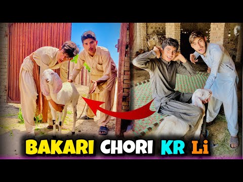 Bakari Chori Kar Li || Choron Nay Bakari Chori ki